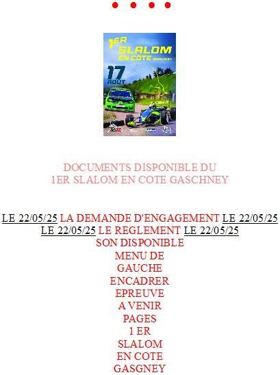 Acceuil slalom en cote gascney